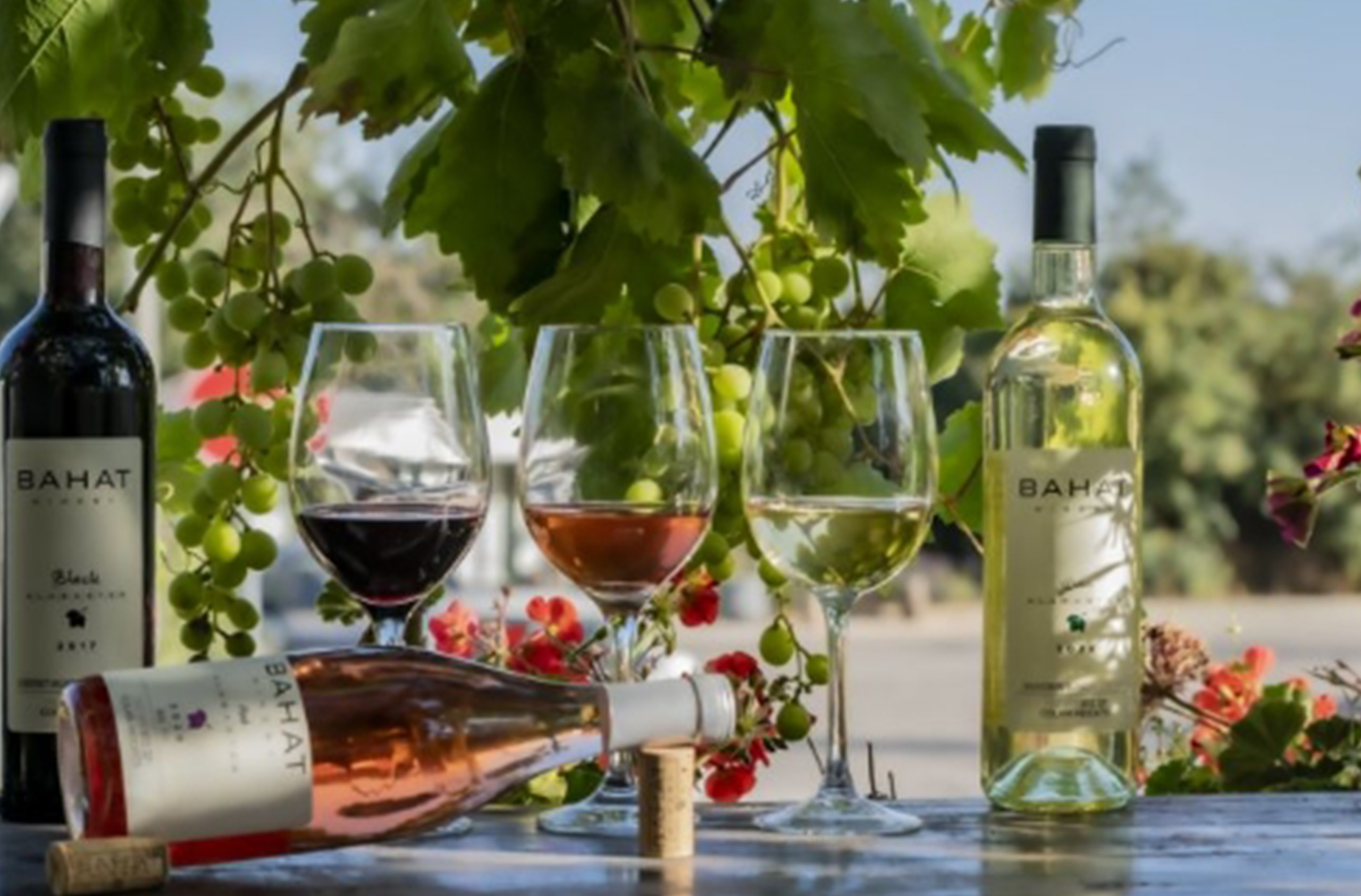 סיור זוגי ביקב ובמזקקה סיור זוגי ביקב ובמזקקה + 6 טעימות יין ופלטת גבינות ביקב בהט – תמונה 1